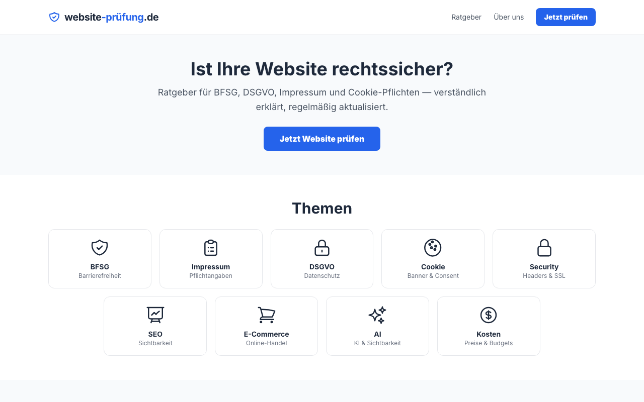 Website-Prüfung